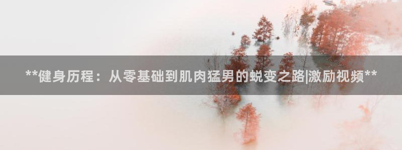 龙8国际总代理
