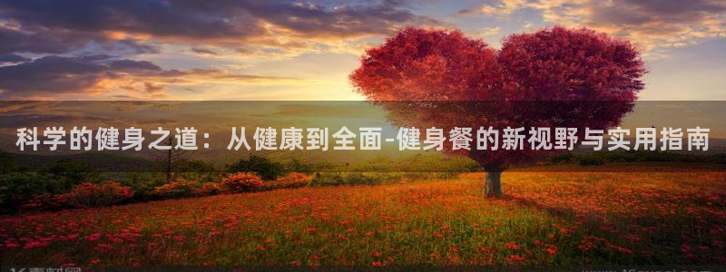 龙8游戏网站