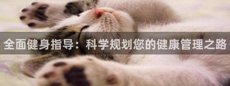 龙8国际官网 - 点此进入