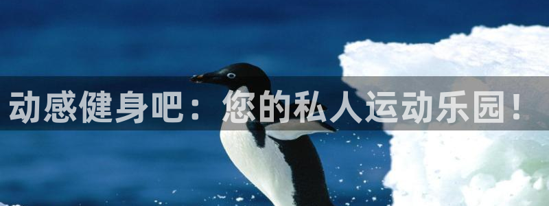 龙8国际是什么平台