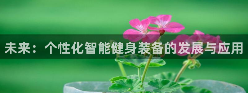 龙八国际官方网