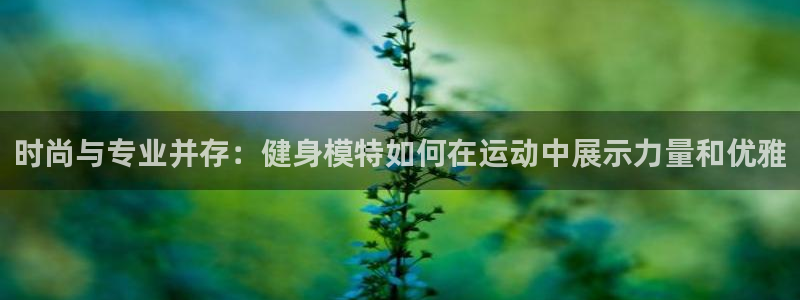 龙8国际欢迎您