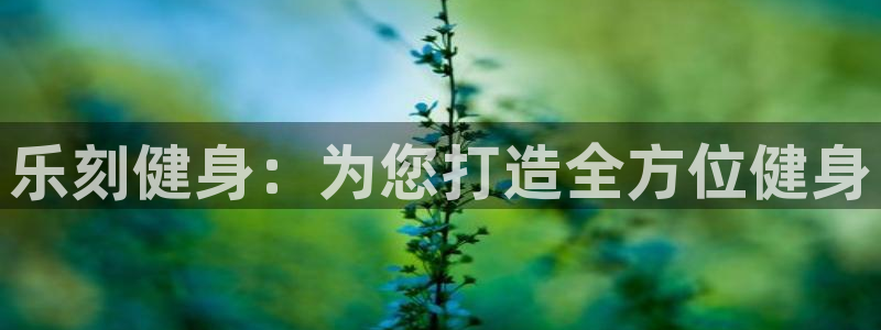 龙8国际提现