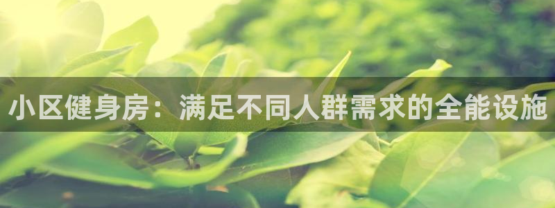 龙8国际pt网址官方
