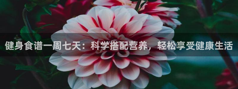 龙8国际唯一官网官方版