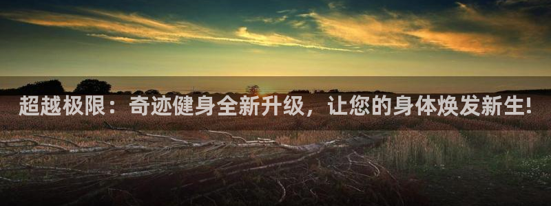 龙8国际线上