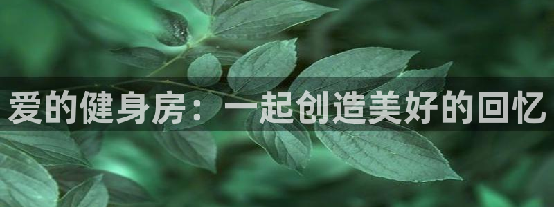 龙8国际登入